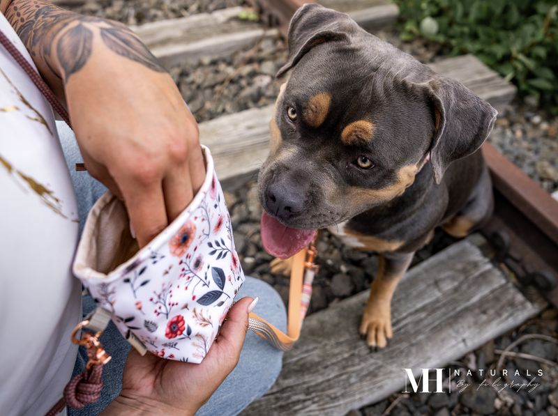 Futterbeutel Design Peach