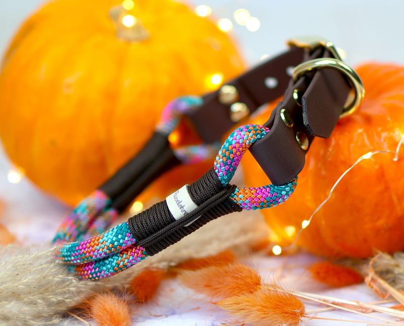 *Sofortkauf* Halsband HU 38-43cm Premium Tau *Sofortkauf* Halsband HU 38-43cm Premium Tau