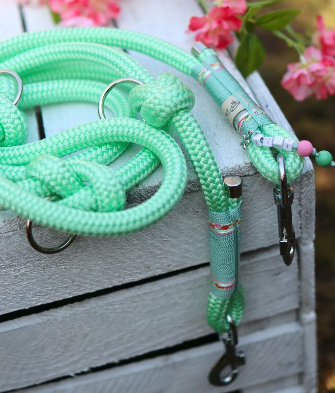 *Sofortkauf* Leine 12mm Standard Tau