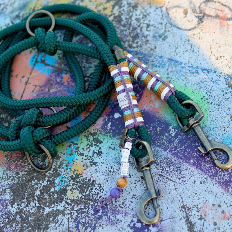 *Sofortkauf* Leine 10mm Standard Tau