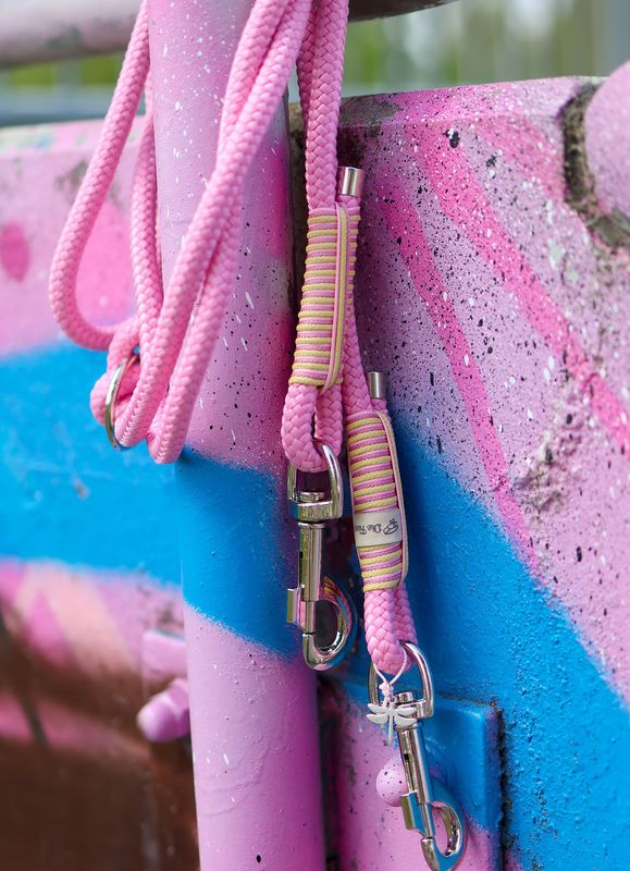 *Sofortkauf* Leine 10mm Standard Tau