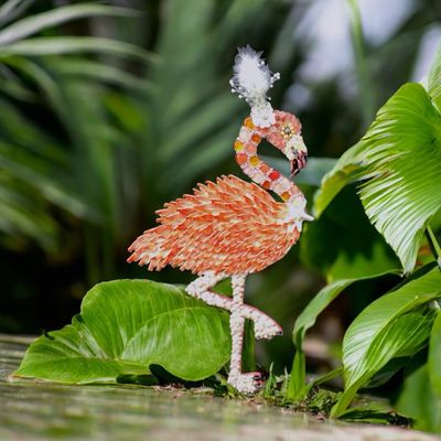 Flamingos
