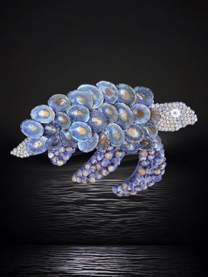 Small Limpet Turtle