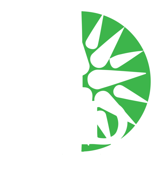Holistic Depot