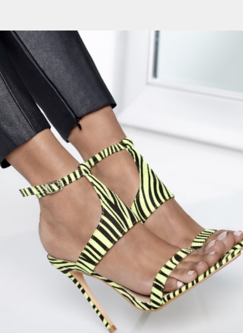 Lime Zebra