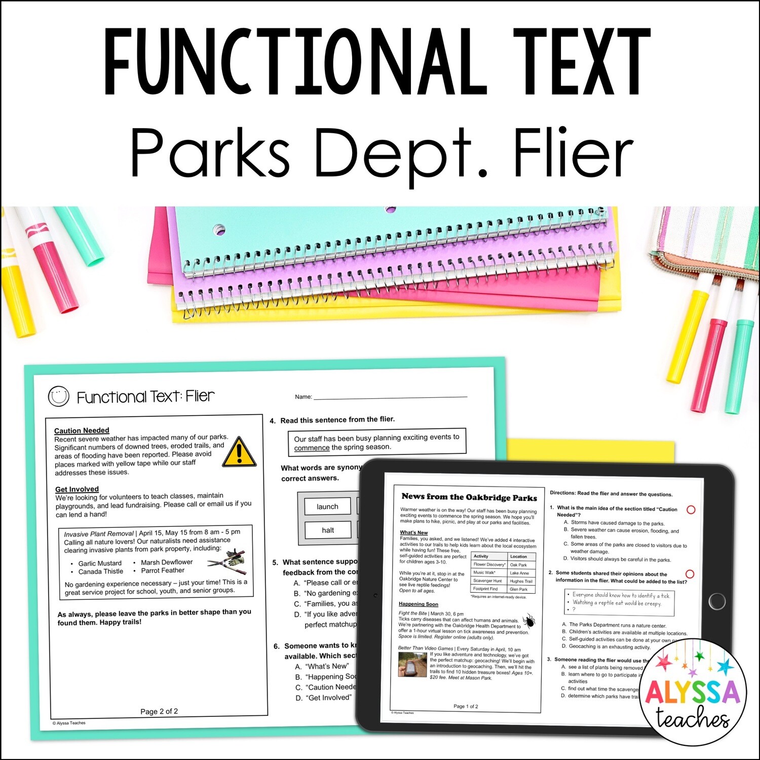 Functional Text Comprehension | Flier | 5th Grade