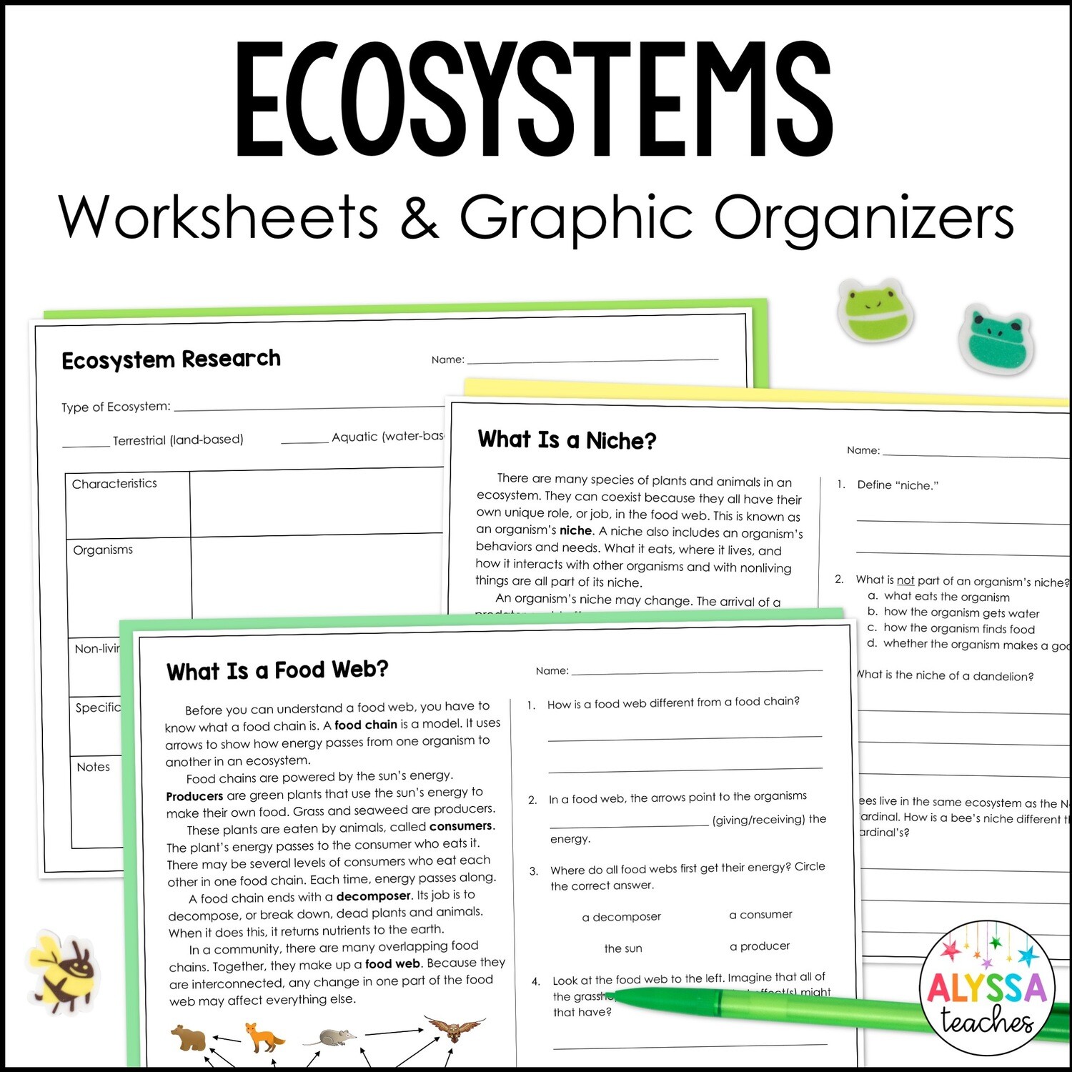 Ecosystems Worksheets