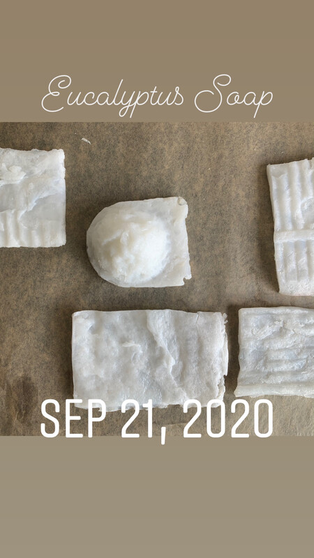 Eucalyptus Vegan Soap 1.3 OZ