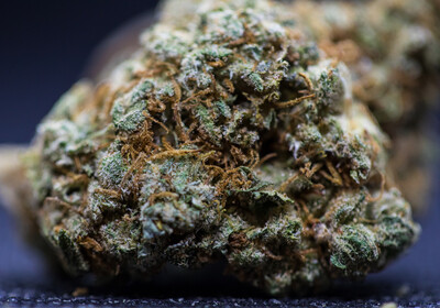 Blueberry Yum Yumz half