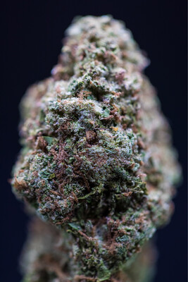 Hood Candy Hybrid Half