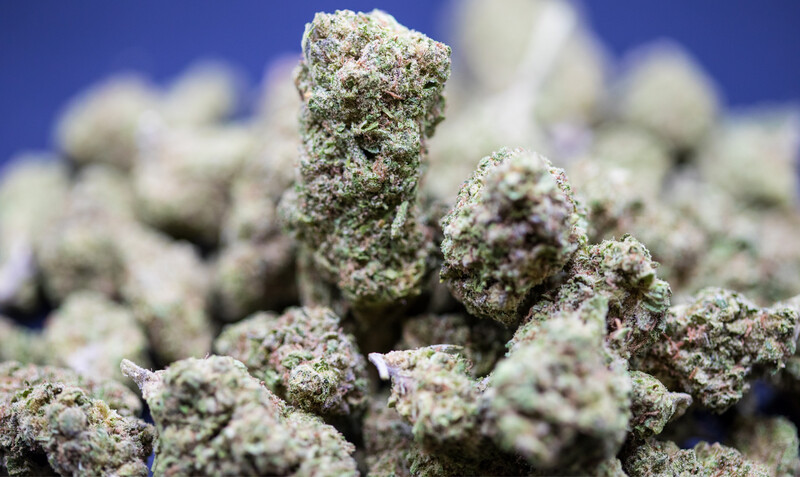Sherbert Indica Half Zip