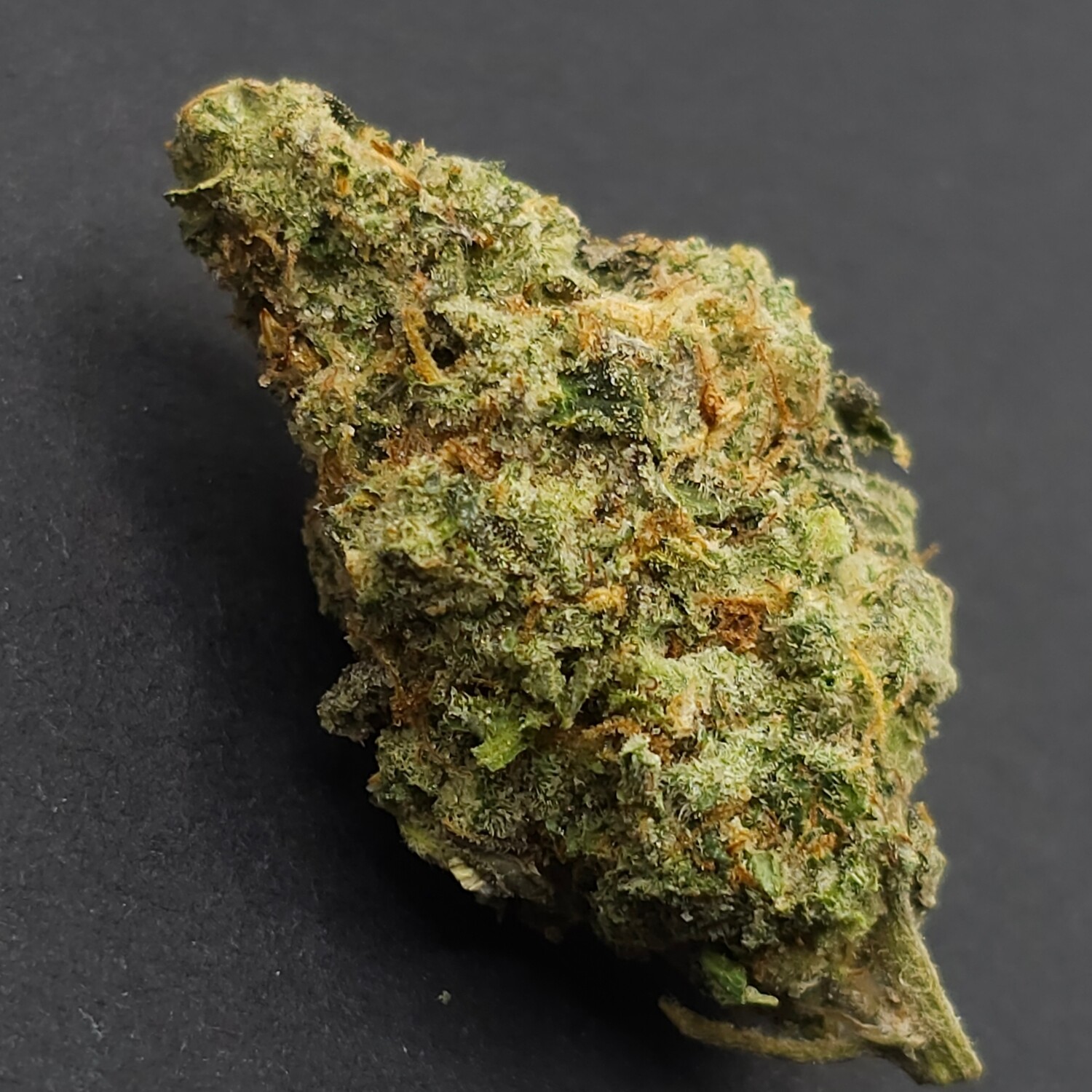 Garlic Budder Hybrid