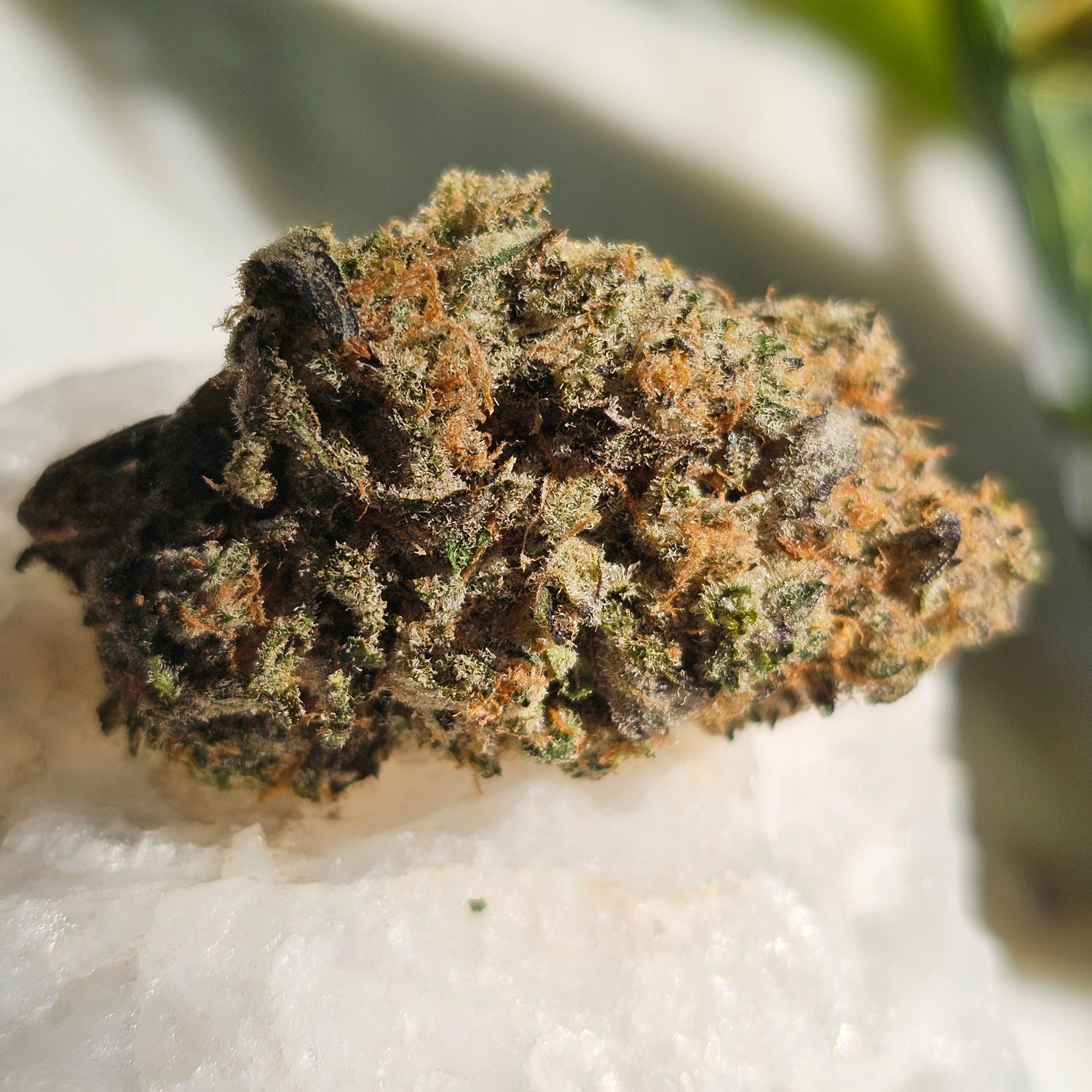 Super Boof Hybrid