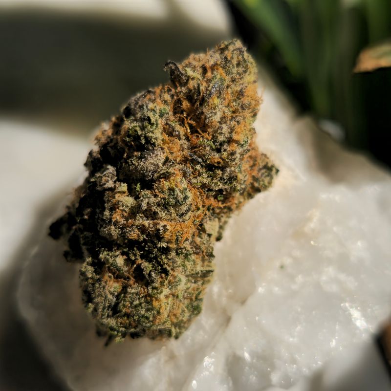 Super Boof Hybrid