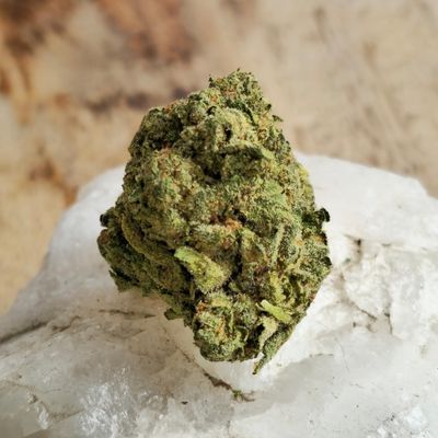 Banana Cream Cake x Jealousy half