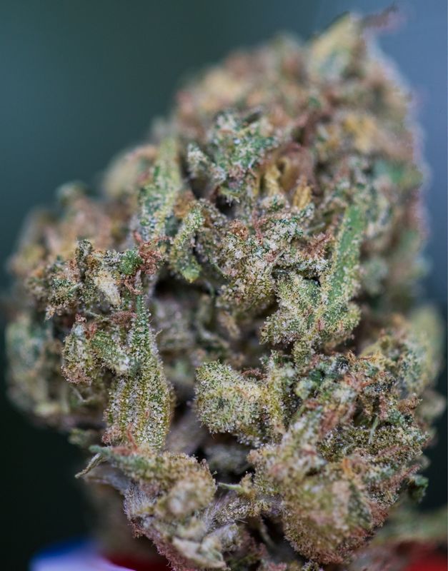 Blueberry Sugar