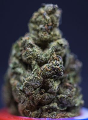 Caviar Gold