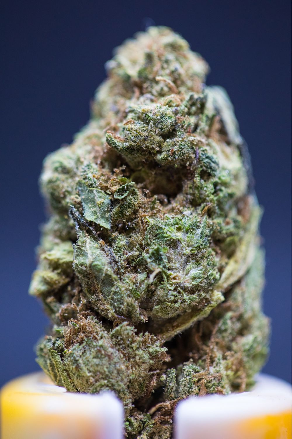 Cheetah Huff Sativa Hybrid zip