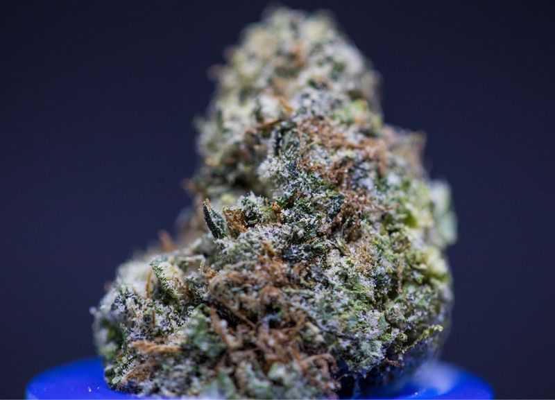 Candy Gas  Hybrid 
