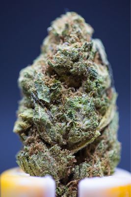 Cheetah Huff Sativa Hybrid Half