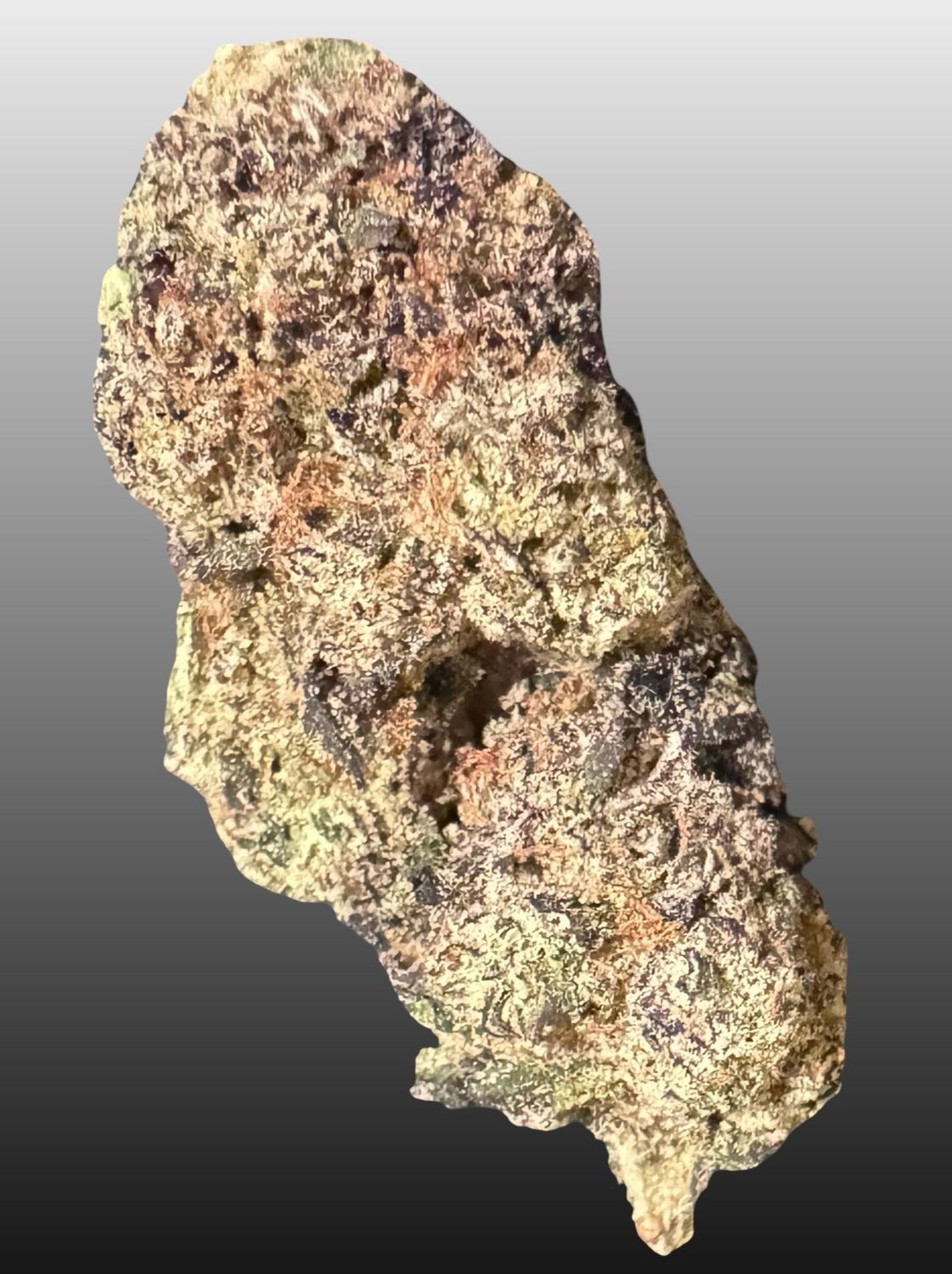 Black Cherry Sorbet (zip)