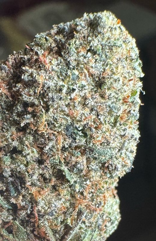 Black gumbo