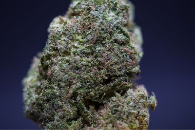 Cherry Cake Sativa Hybrid Zip 
