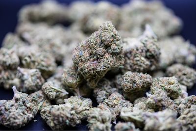 Candy Land Sativa Hybrid