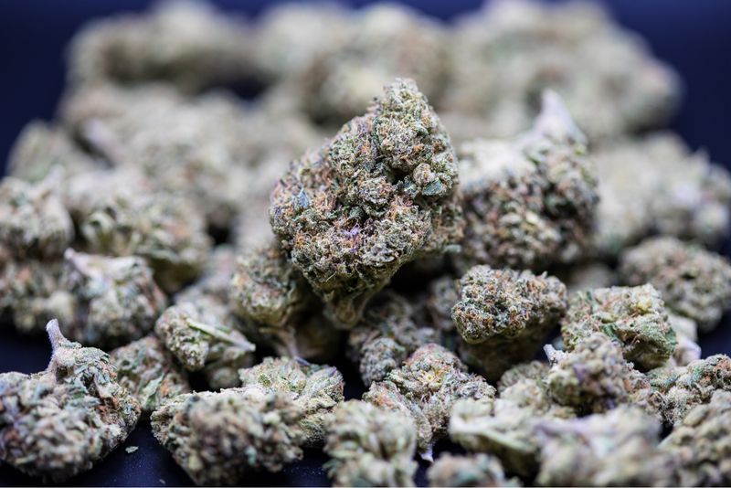 Candy Land Sativa Hybrid Half