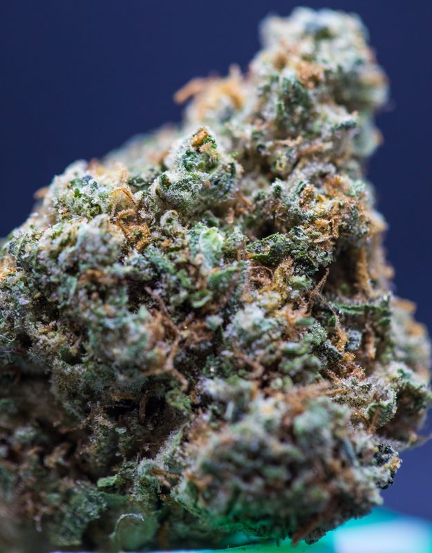 Gelato Cake Indica 