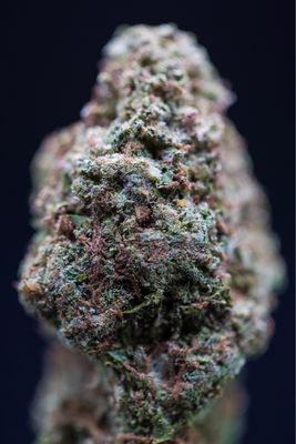Hood Candy Hybrid