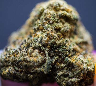 Blue Gumbo zip