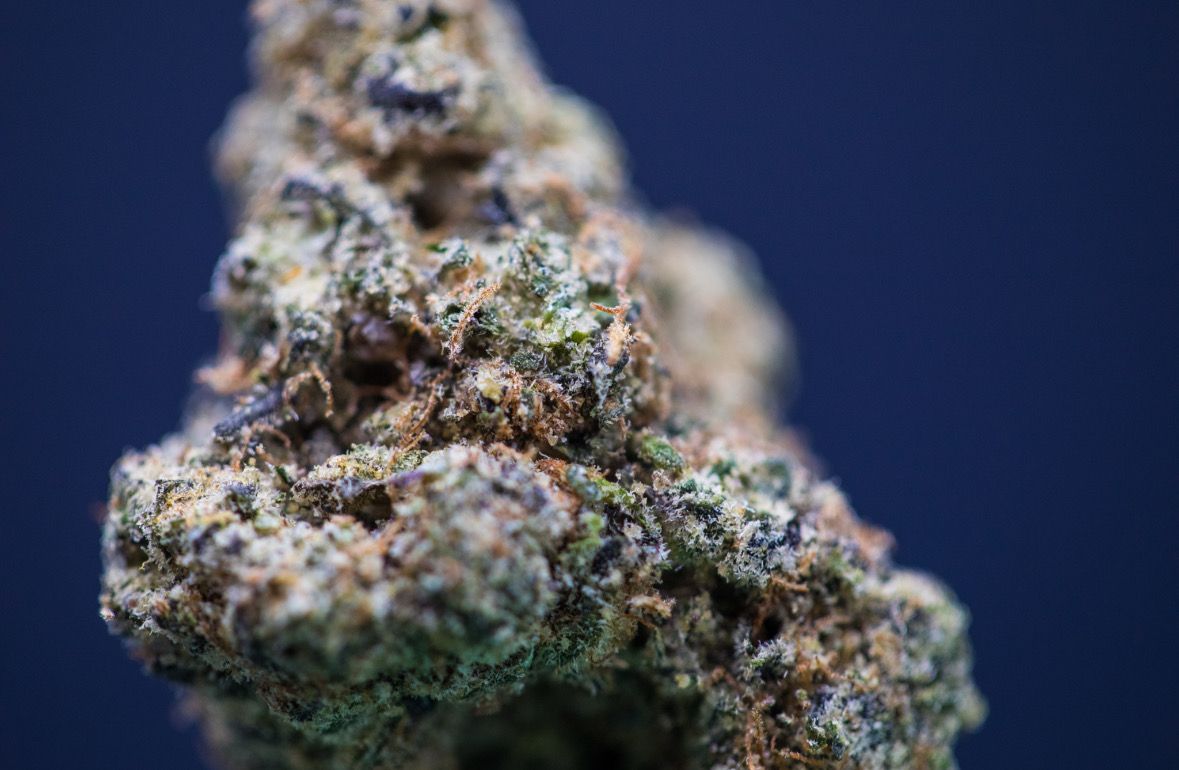 Black Truffle Gelato - Half