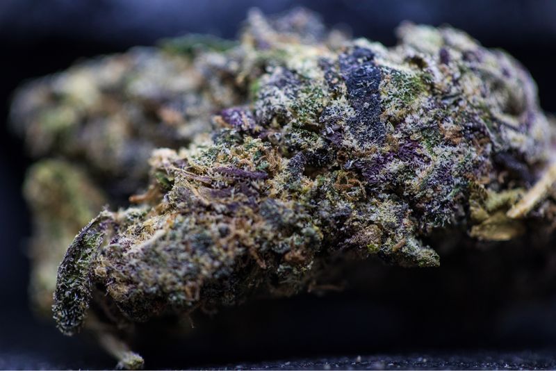 Black Cherry Gelato Indica Hybrid - Half