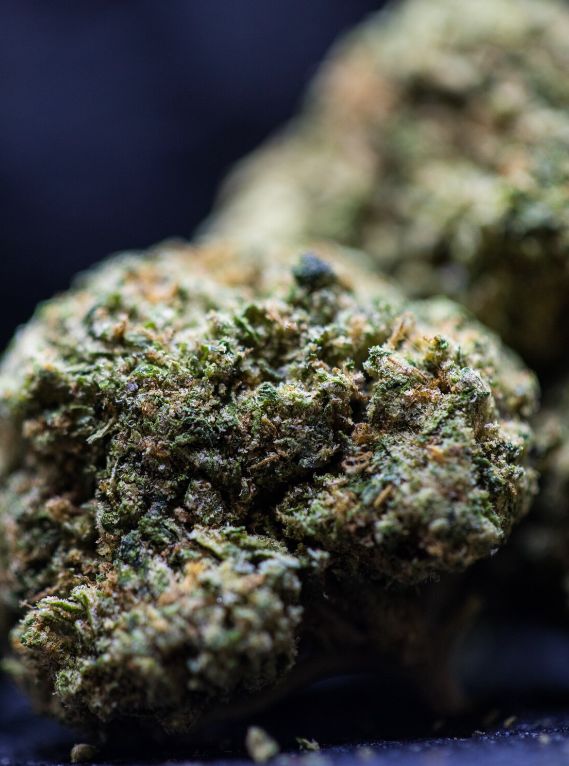 Rainbow Biscotti -Half