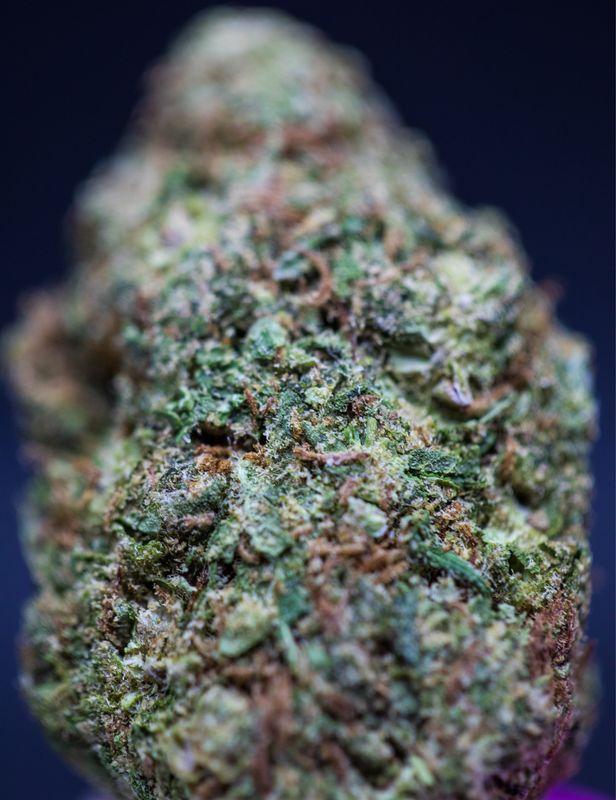 Tropical Cherry - Half