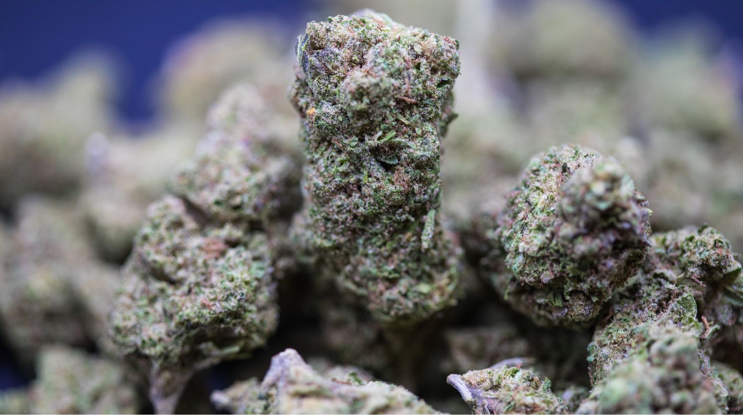 Sherbet Indica Hybrid