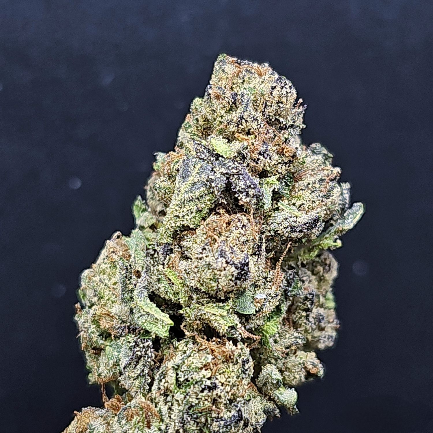 Candy Runtz Indica Half 