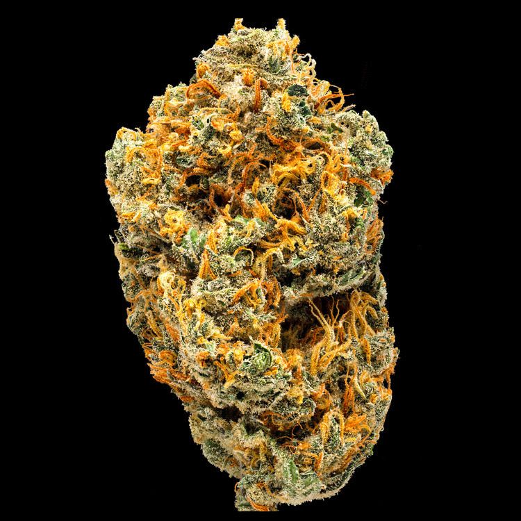 Lemon Drop (Sativa)- Half
