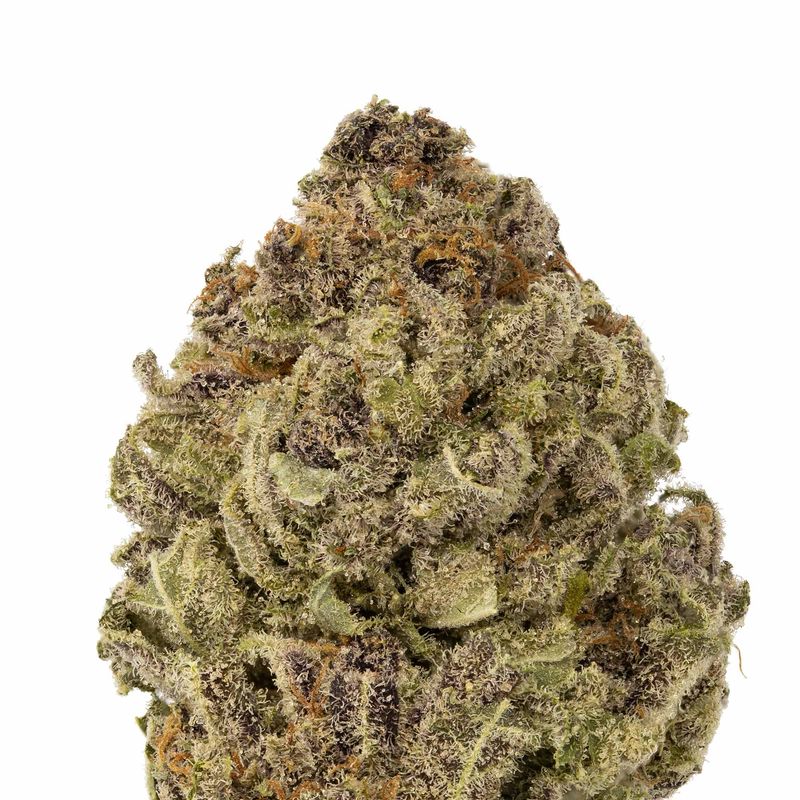 Blueberry Cheese - Zip