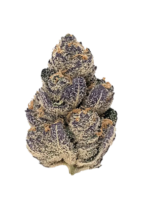 Purple candy - Zip