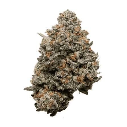 Rainbow Popperz (Hybrid) - Half Zip