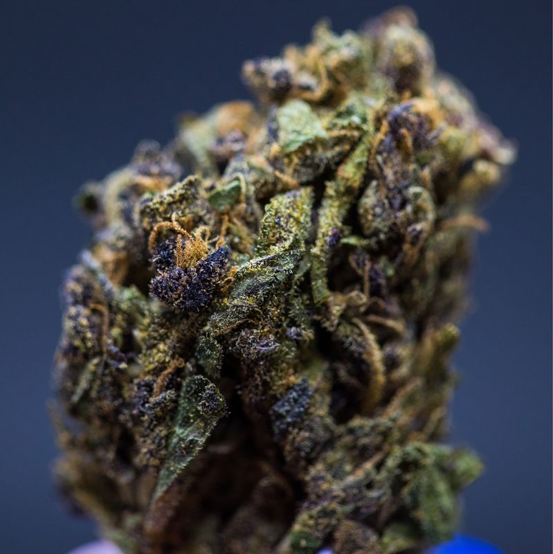 Jamba Juice Sativa Half Zip