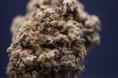 Gobstopper I. Hybrid
