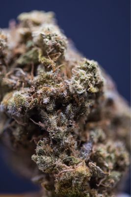 Gobstopper I. Hybrid