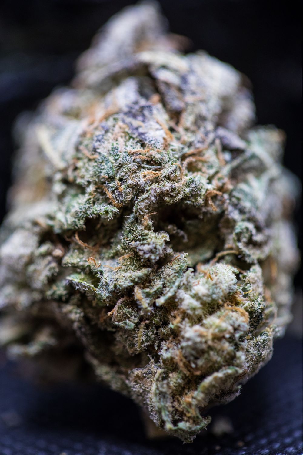 Dr Funk Indica half