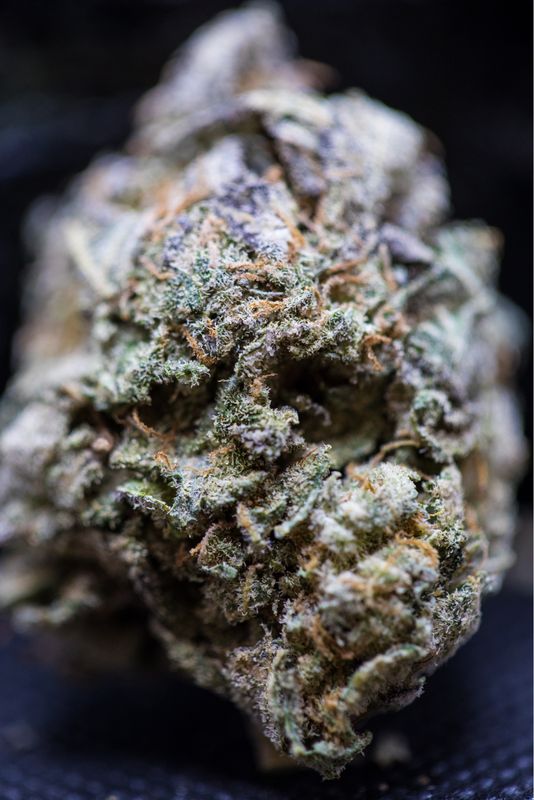 Dr Funk Indica half