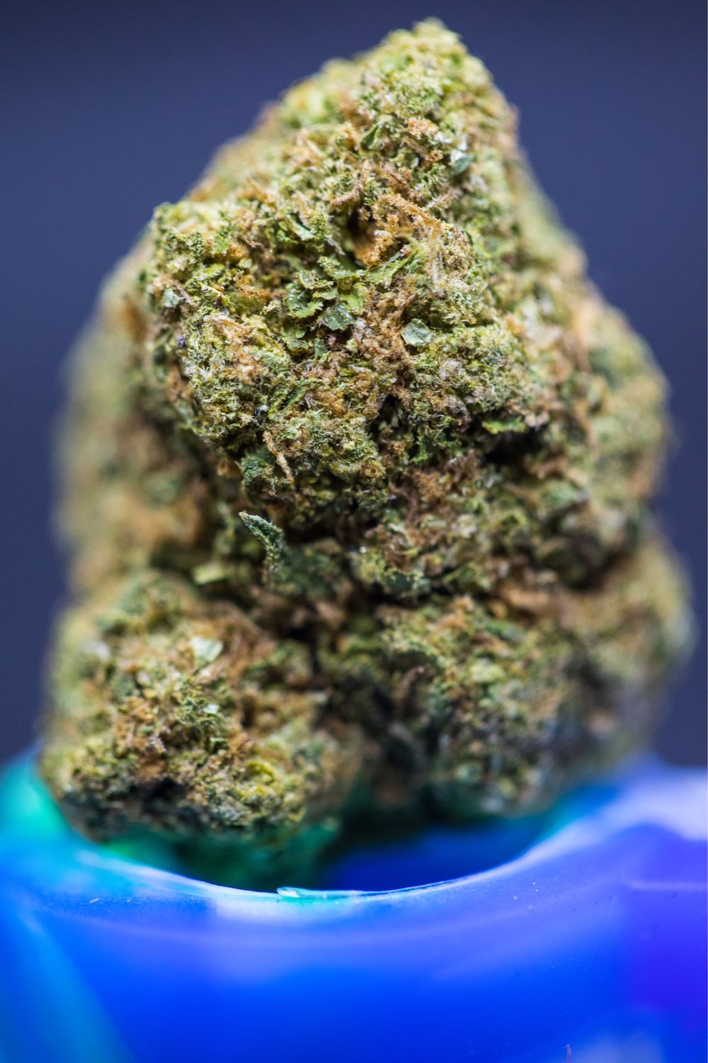 Lemon Marachino 