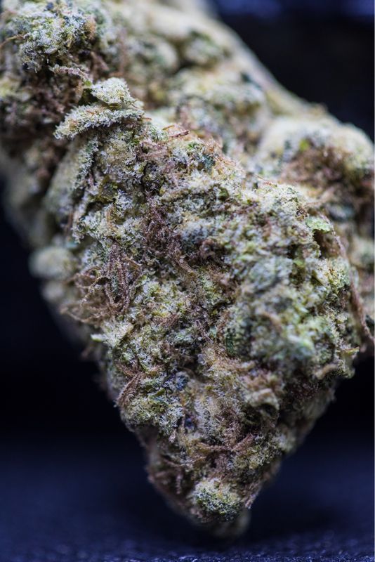 Tropic Super Jet Zip