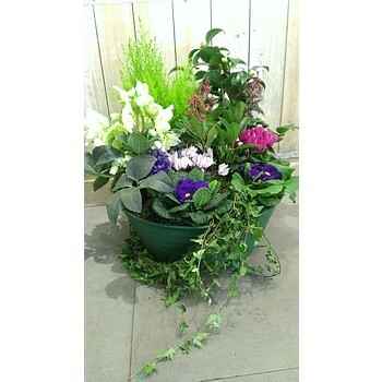 Coupe de plantes